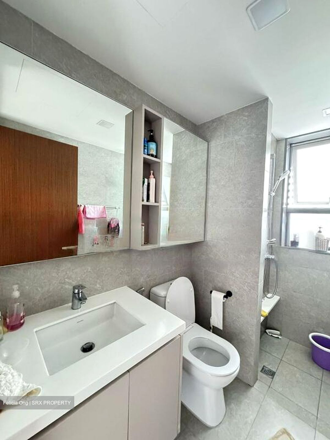 The Visionaire (D27), Condominium #449153921